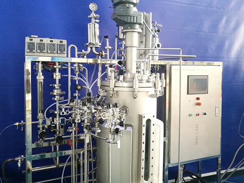 Vaccine fermenter (100L)