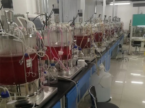 Glass cell bioreactors